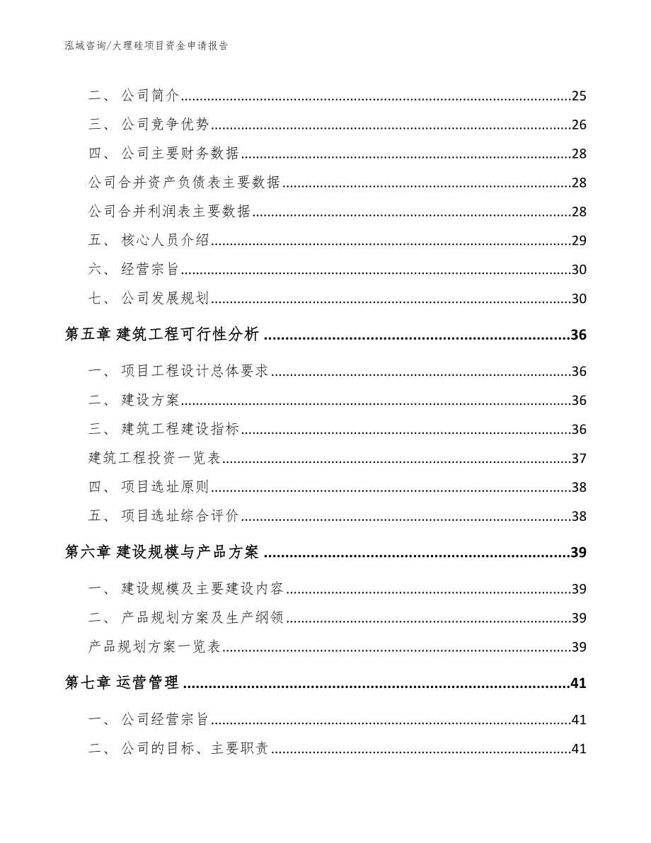 大理硅项目资金申请报告_参考模板_第4页