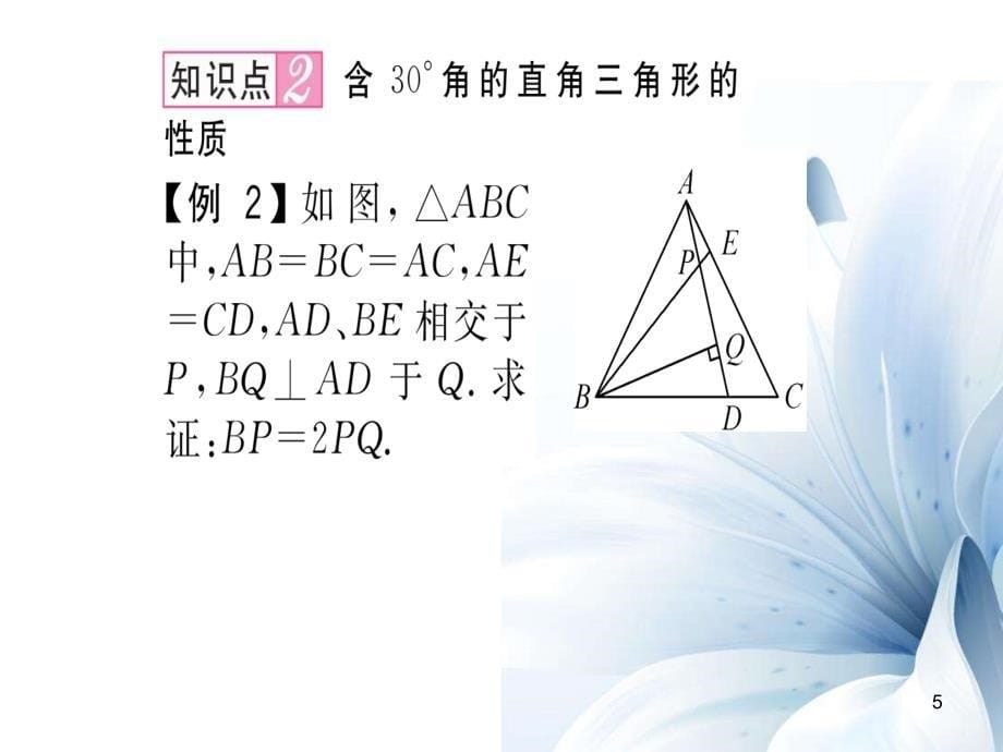 八年级数学上册 15.3 等边三角形的性质及推论（第3课时）课件 （新版）沪科版[共21页]5.40MB_第5页