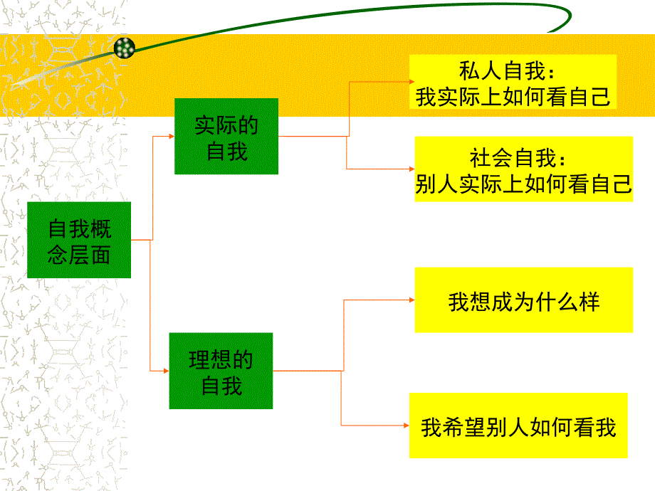 第08章生活方式与消费行为_第5页