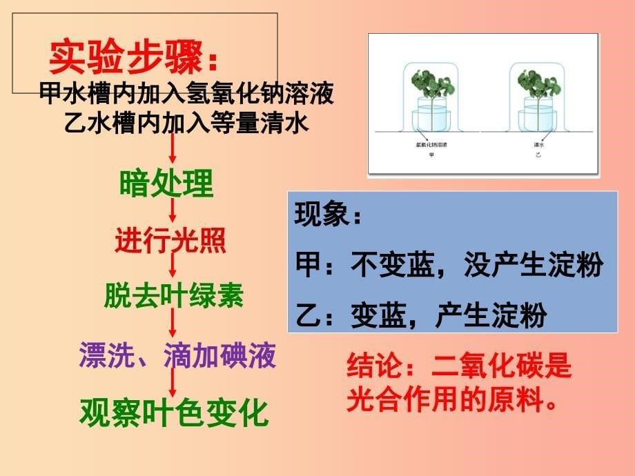 八年级生物上册 第三单元 第三章 第二节光合作用的原料课件 （新版）冀教版.ppt_第5页