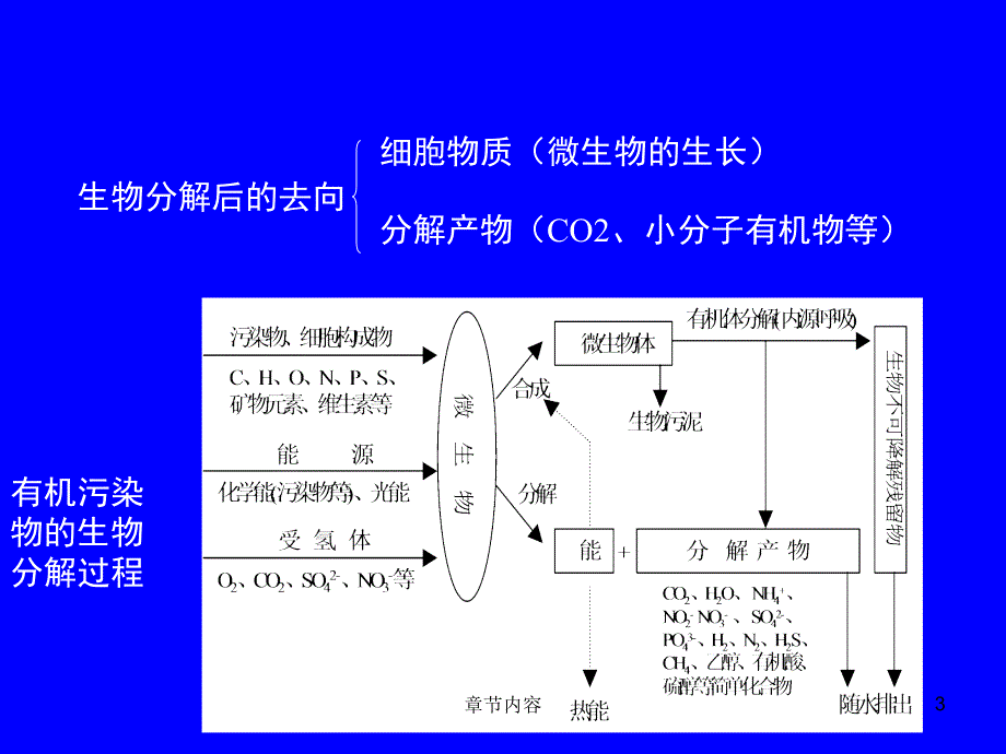 第十章微生物的有机物降解【课堂课资】_第3页