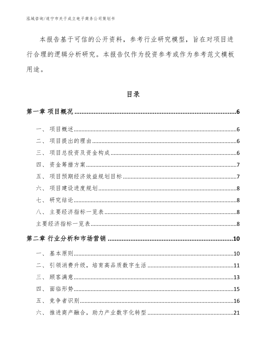 遂宁市关于成立电子商务公司策划书_第2页