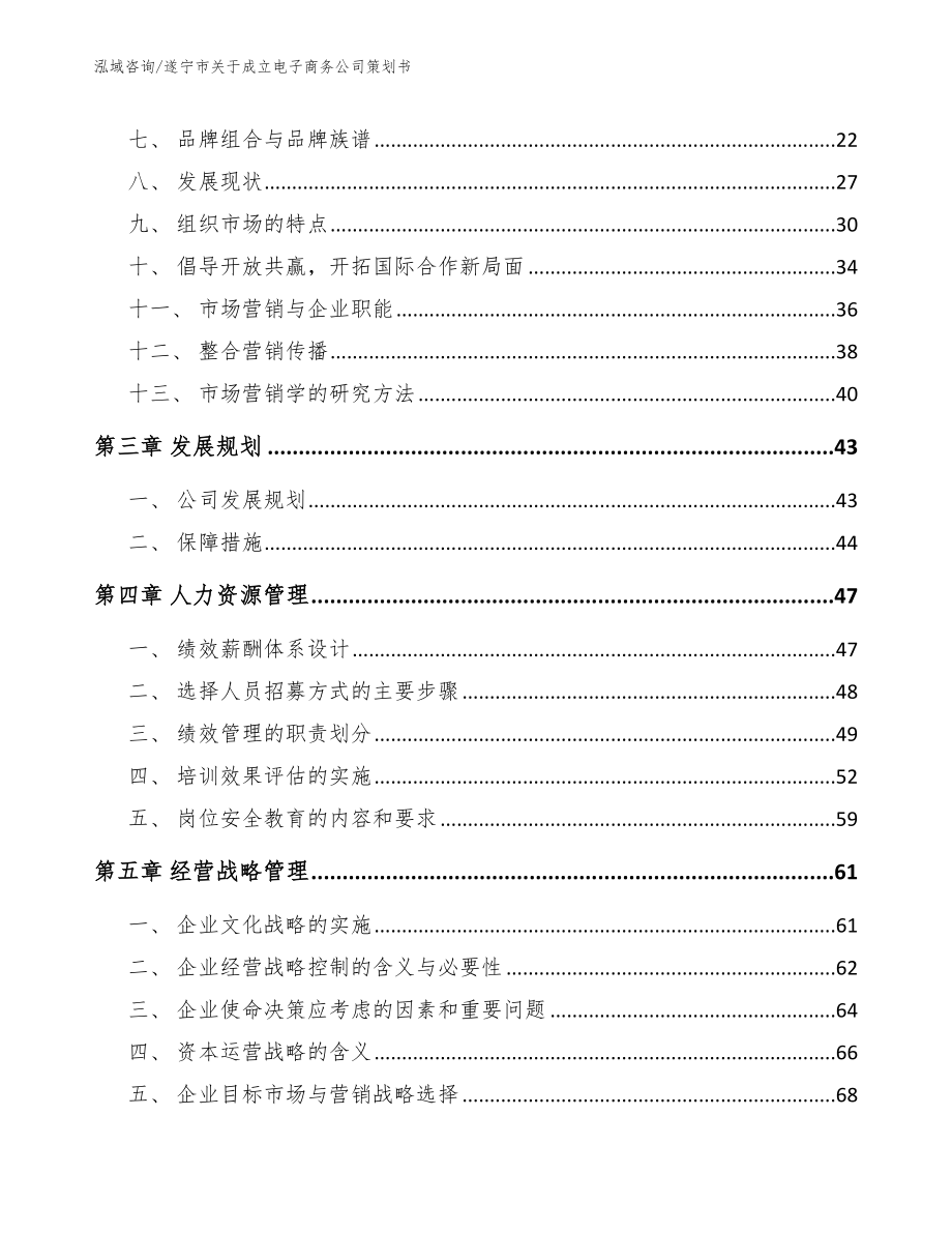 遂宁市关于成立电子商务公司策划书_第3页