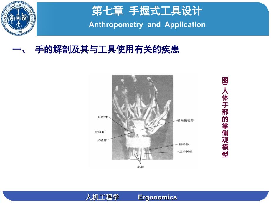 人机工程学第七章手握式工具设计设计_第3页