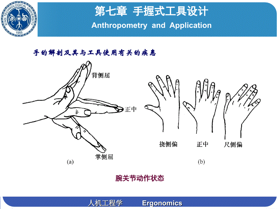 人机工程学第七章手握式工具设计设计_第4页