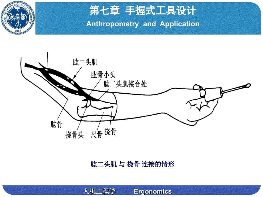 人机工程学第七章手握式工具设计设计_第5页