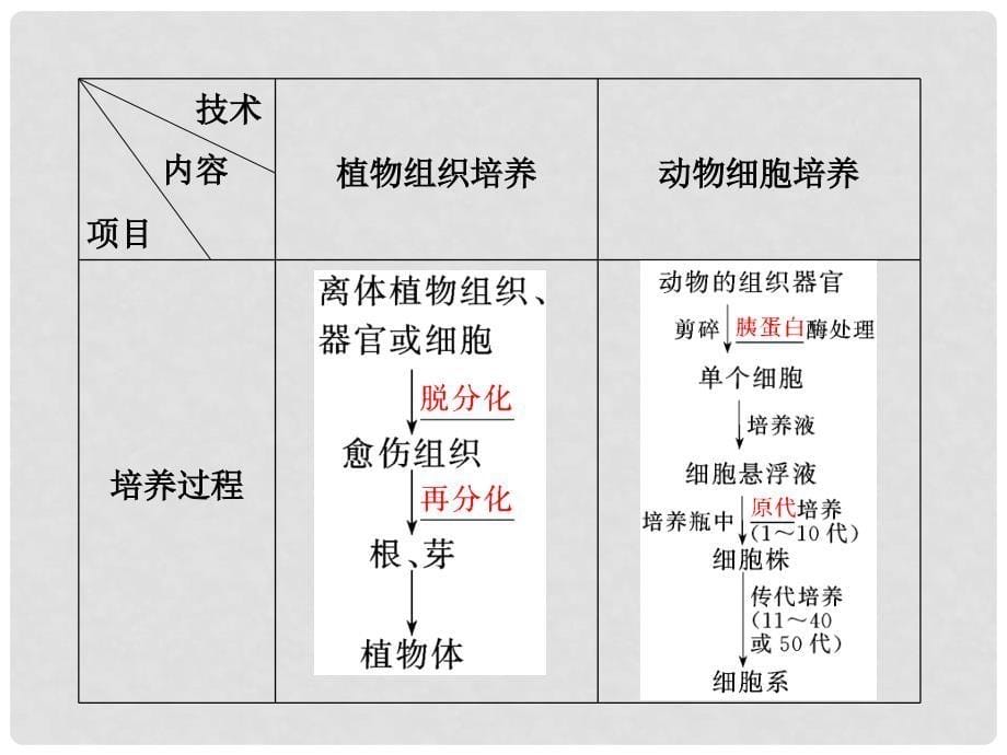 四川省成都市高考生物一轮复习 选修部分 第四章第二节细胞工程简介课件_第5页