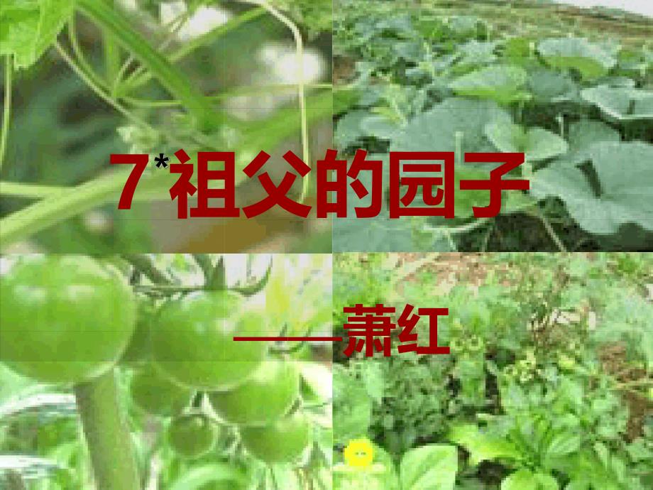 完整版祖父的园子完美版课件_第1页