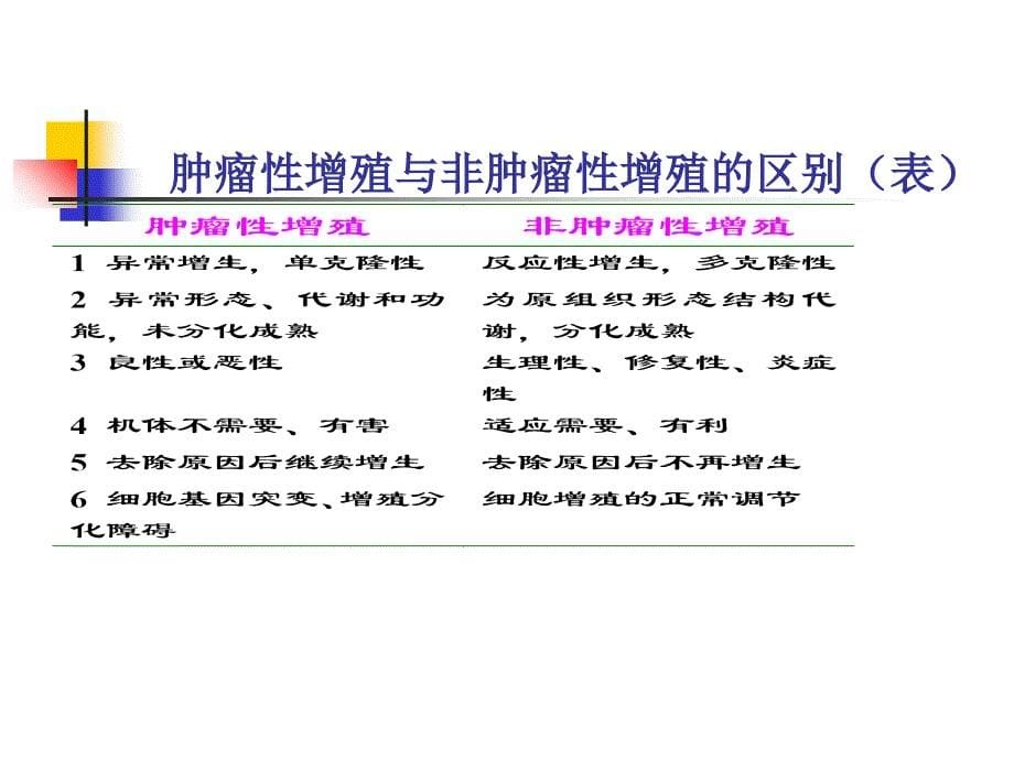 5肿瘤PPT课件文档资料_第5页