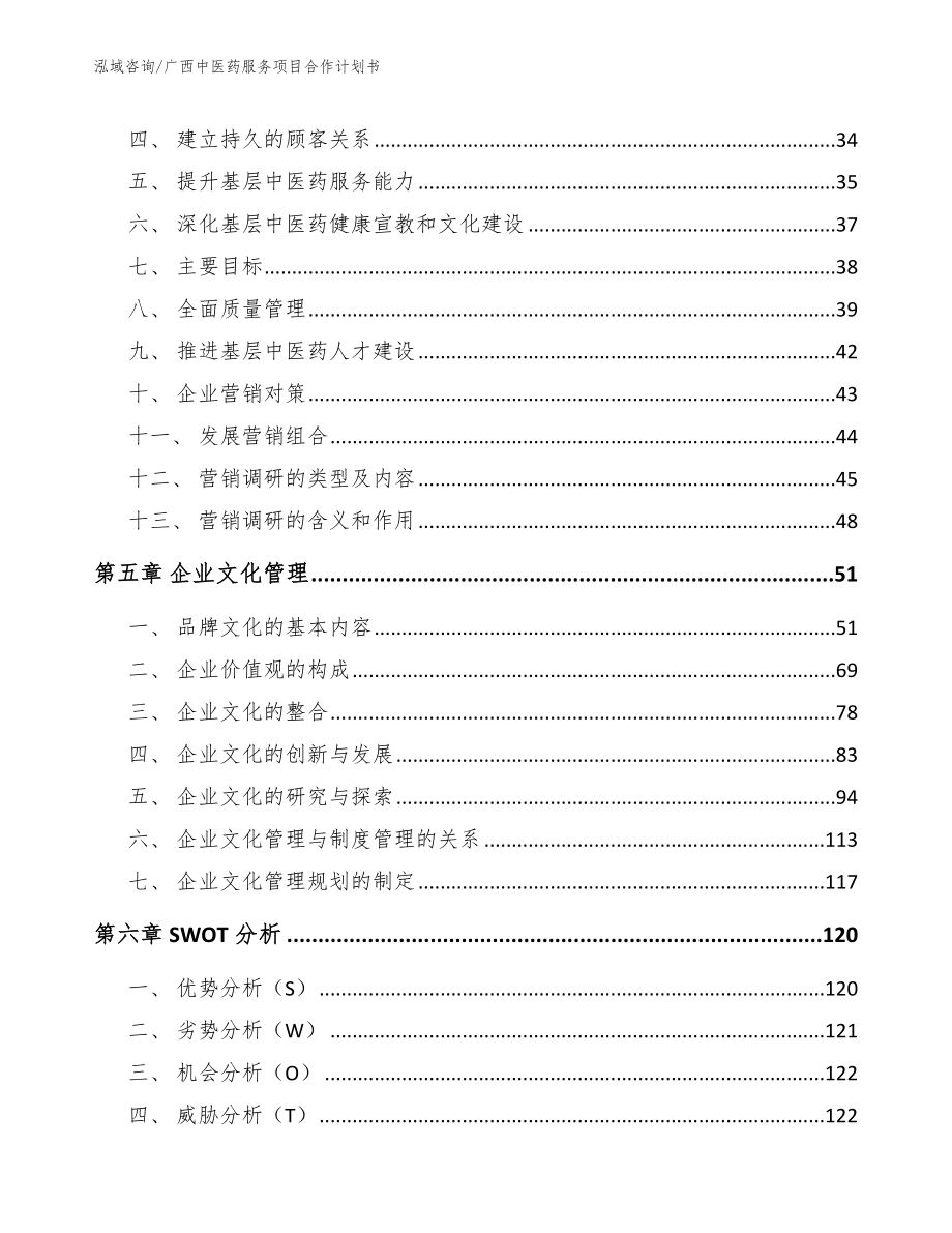 广西中医药服务项目合作计划书_模板范本_第2页