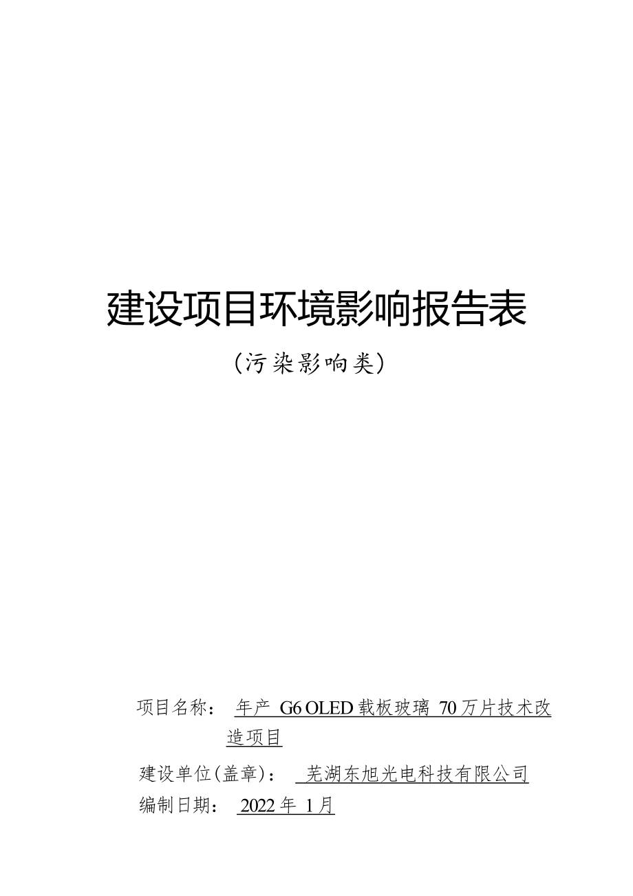 芜湖东旭光电科技有限公司年产G6 OLED载板玻璃70万片技术改造项目环境影响报告表.docx_第1页