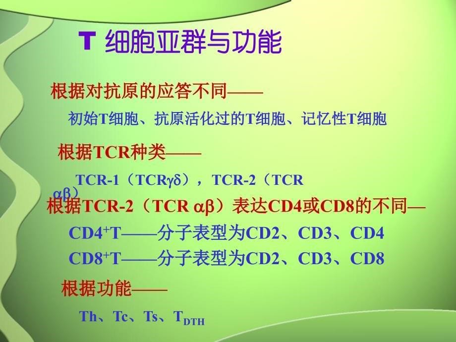 T细胞亚群进展及临床意义_第5页