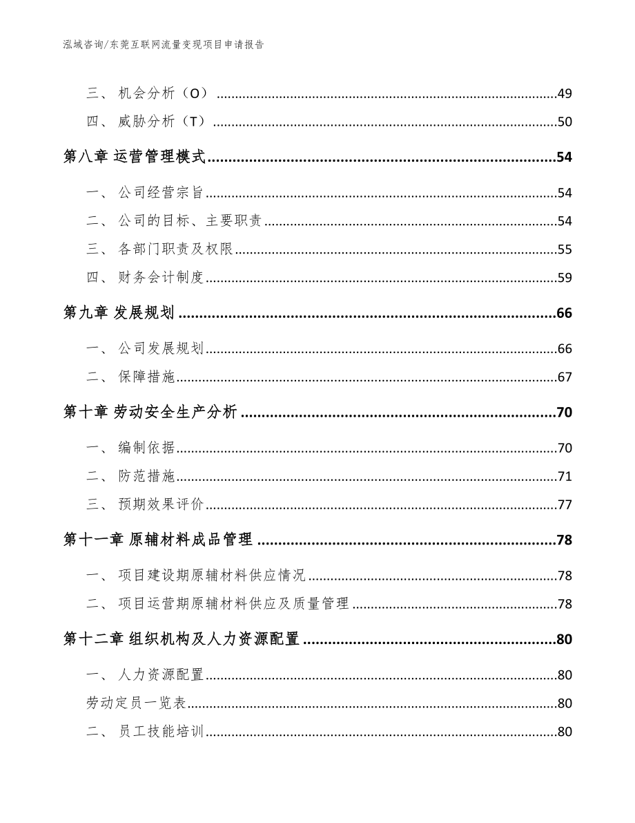 东莞互联网流量变现项目申请报告模板范本_第3页