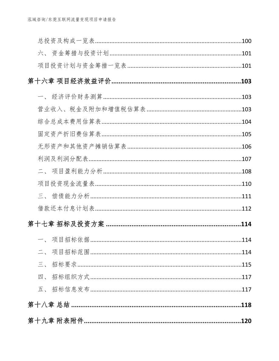 东莞互联网流量变现项目申请报告模板范本_第5页