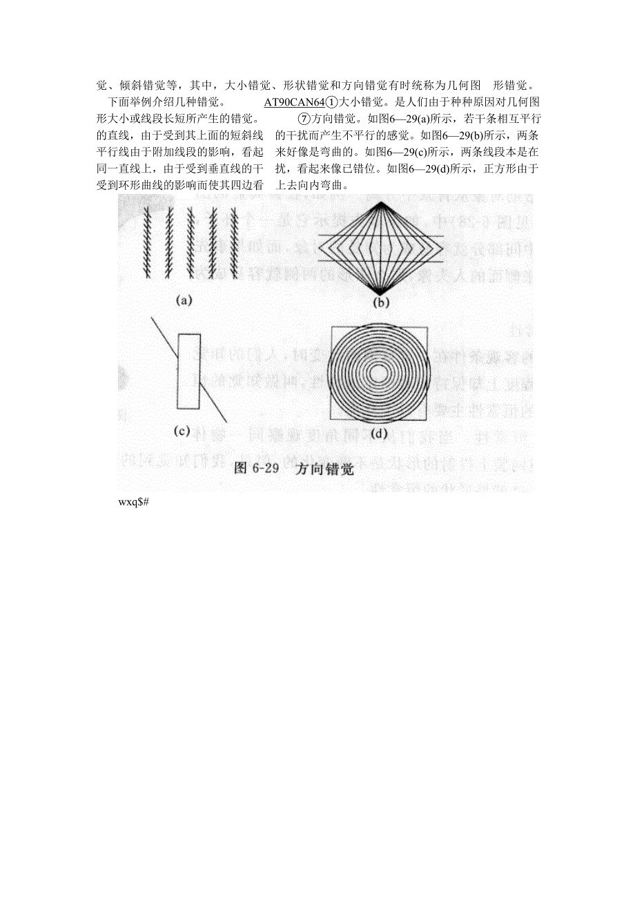 人体感觉与知觉的特征.doc_第5页