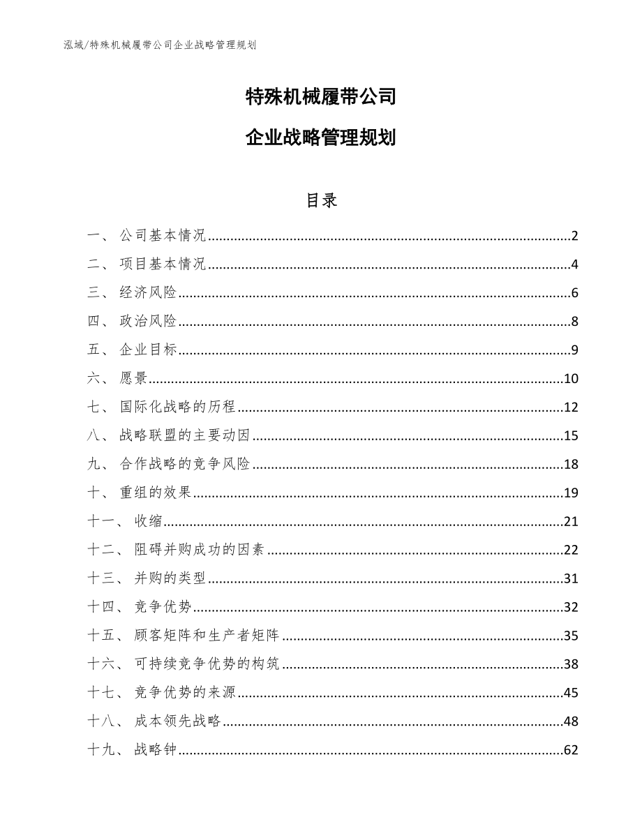 特殊机械履带公司企业战略管理规划_范文_第1页