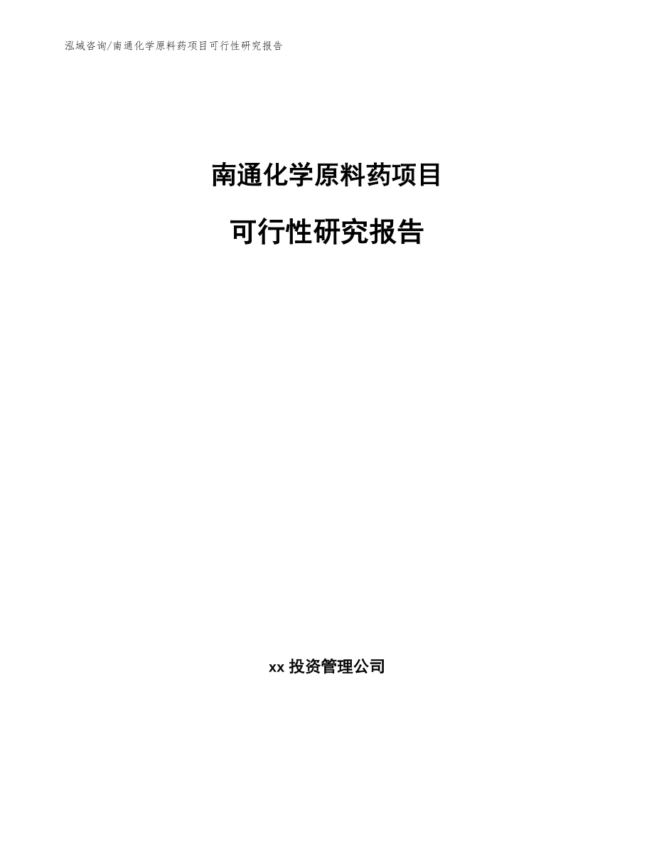 南通化学原料药项目可行性研究报告（参考范文）_第1页