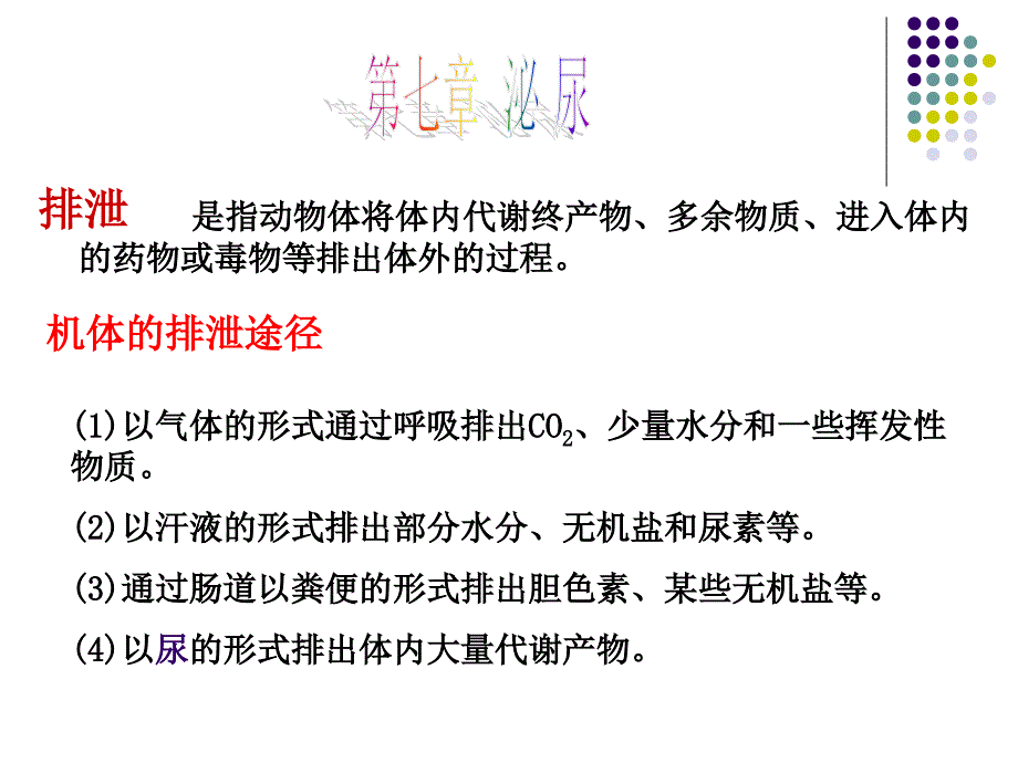 泌尿生理PPT课件_第1页