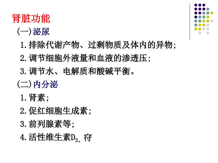 泌尿生理PPT课件_第2页