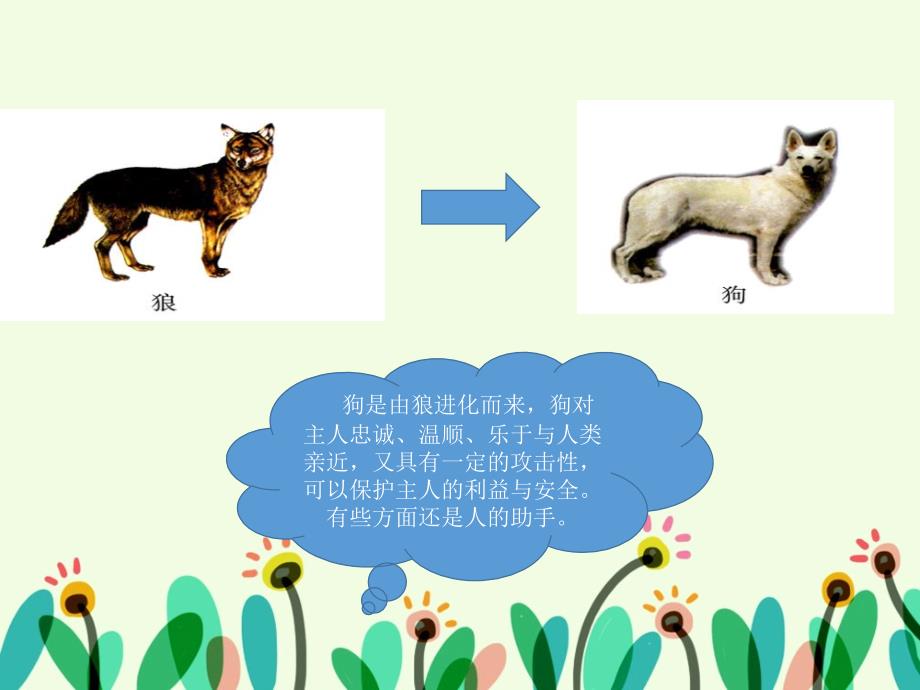 六年级下册科学课件1.4动物的驯化湘科版共10张PPT_第4页