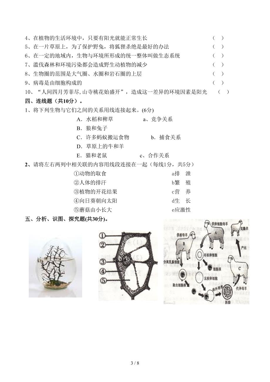 人教版七年级生物上册期末考试试卷及答案_第3页