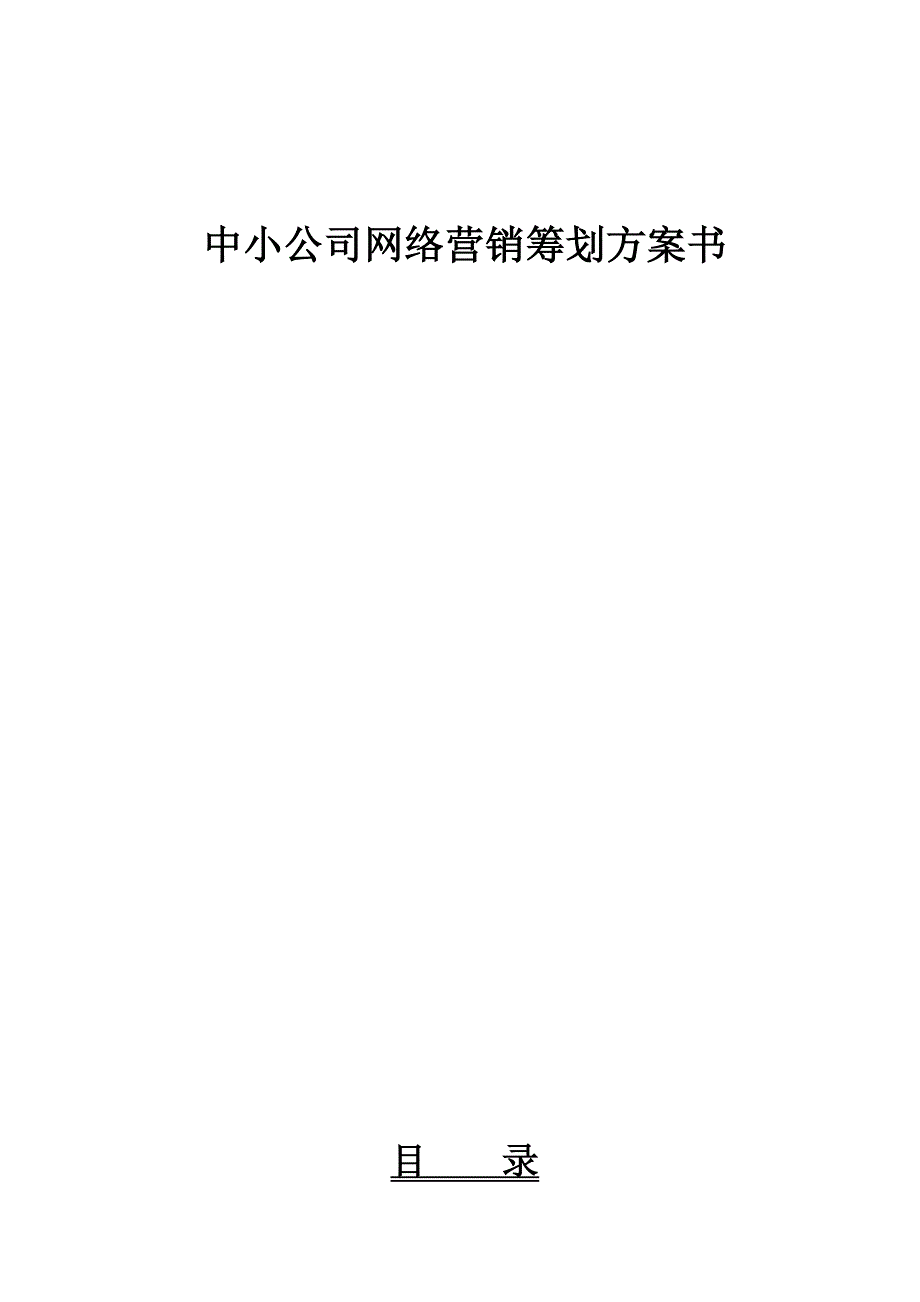 中小企业互联网应用全面解决专题方案_第1页