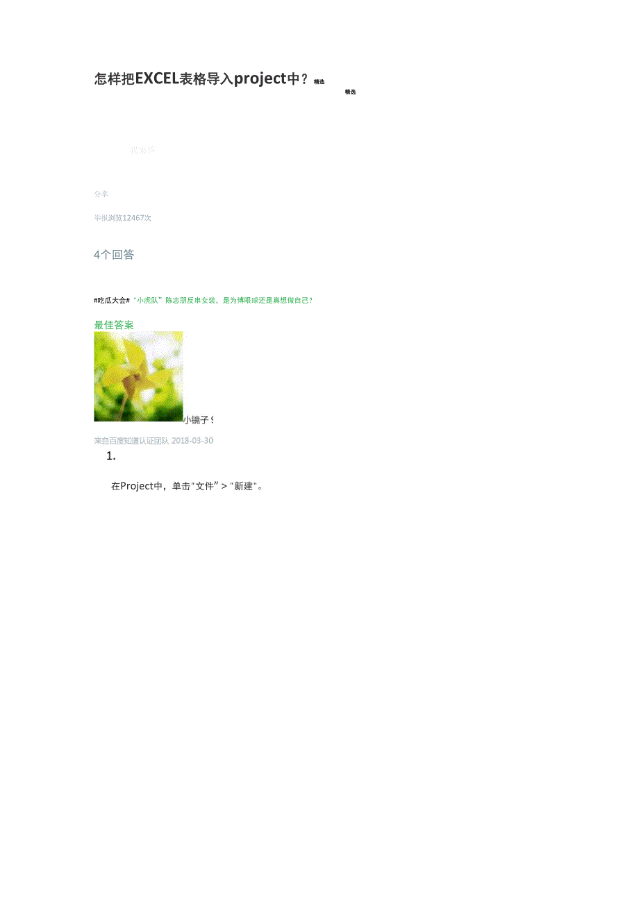 怎样把EXCEL表格导入project 中_第1页