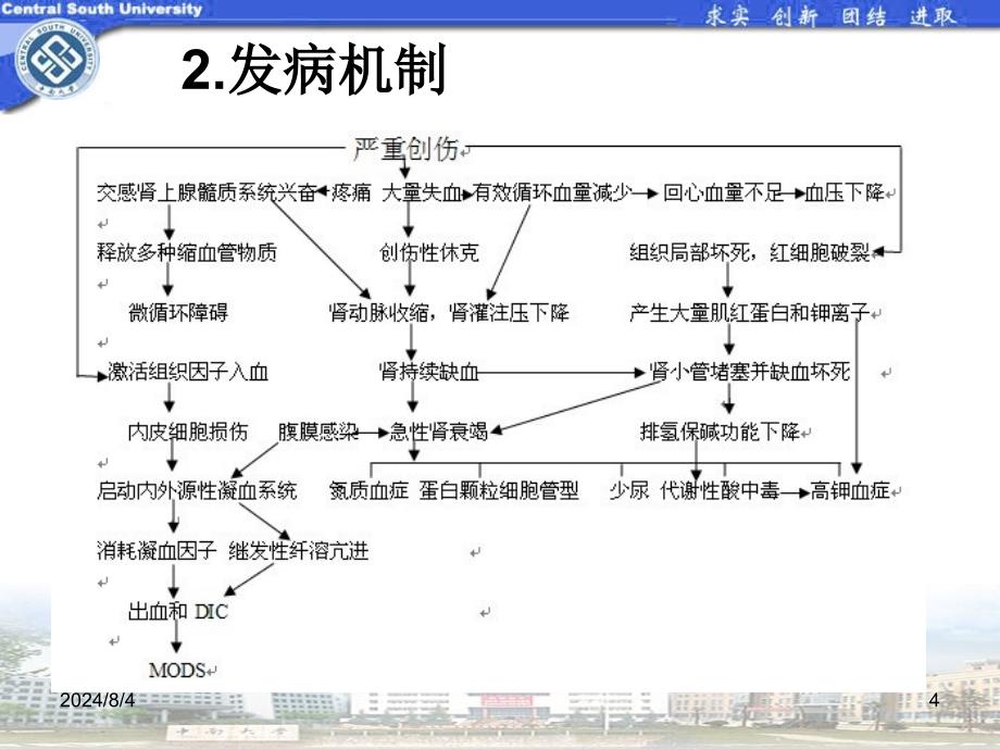 休克 病例一ppt参考课件_第4页