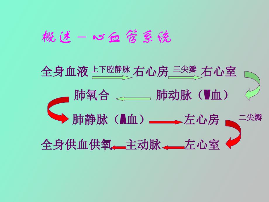 经皮冠状动脉介入治疗的护理_第4页