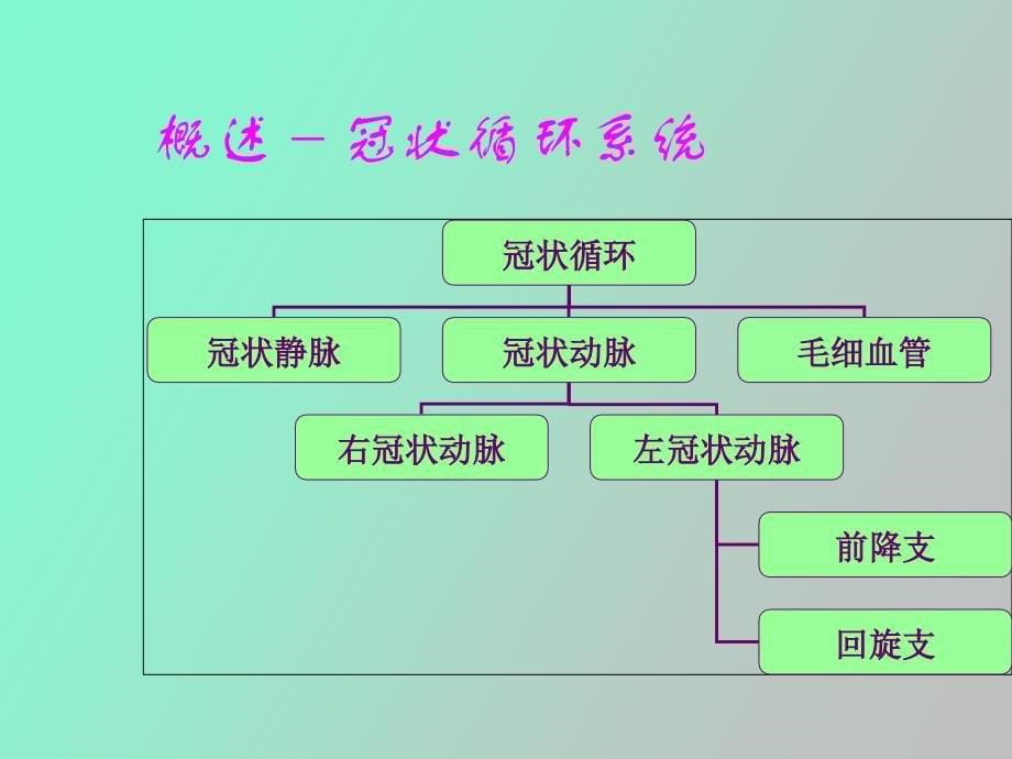 经皮冠状动脉介入治疗的护理_第5页