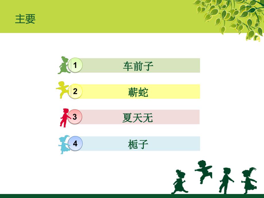 江西樟树药材(3)资料_第3页