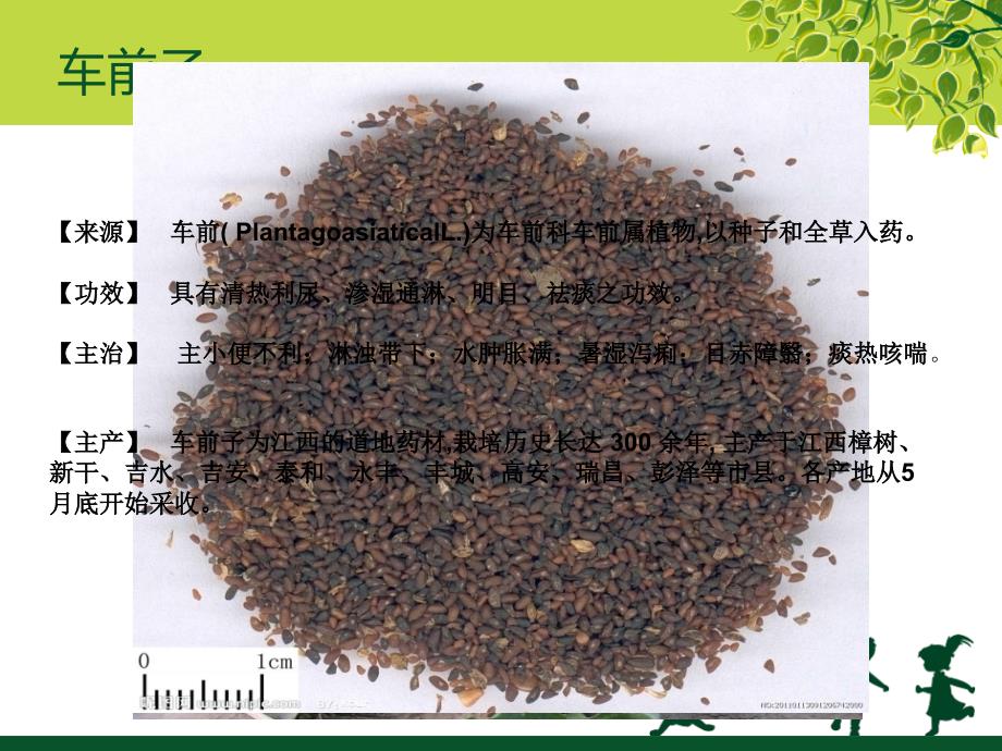 江西樟树药材(3)资料_第4页