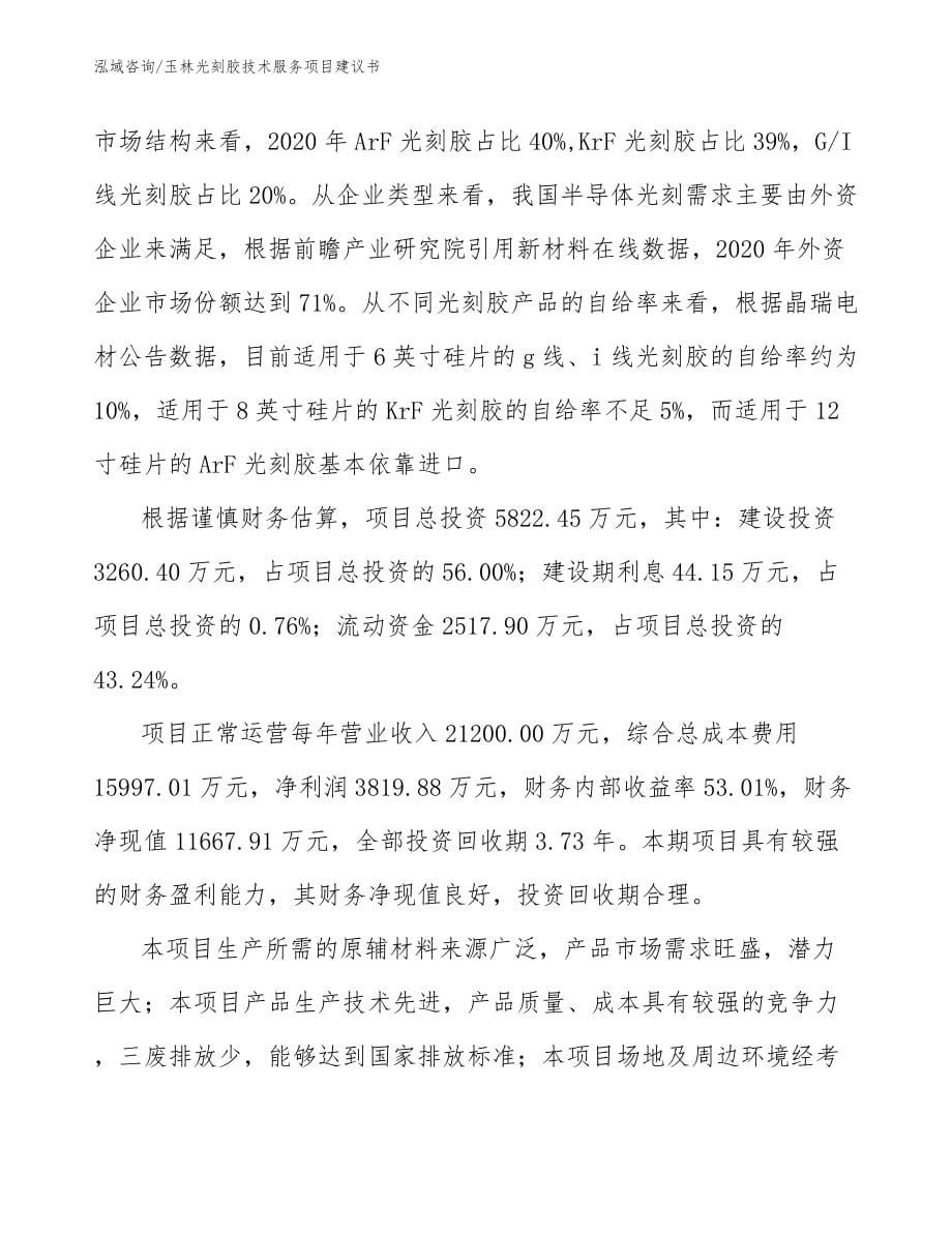 玉林光刻胶技术服务项目建议书_第5页