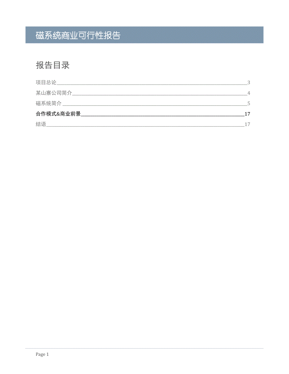 磁系统商业申请建设可行性分析报告.doc_第2页