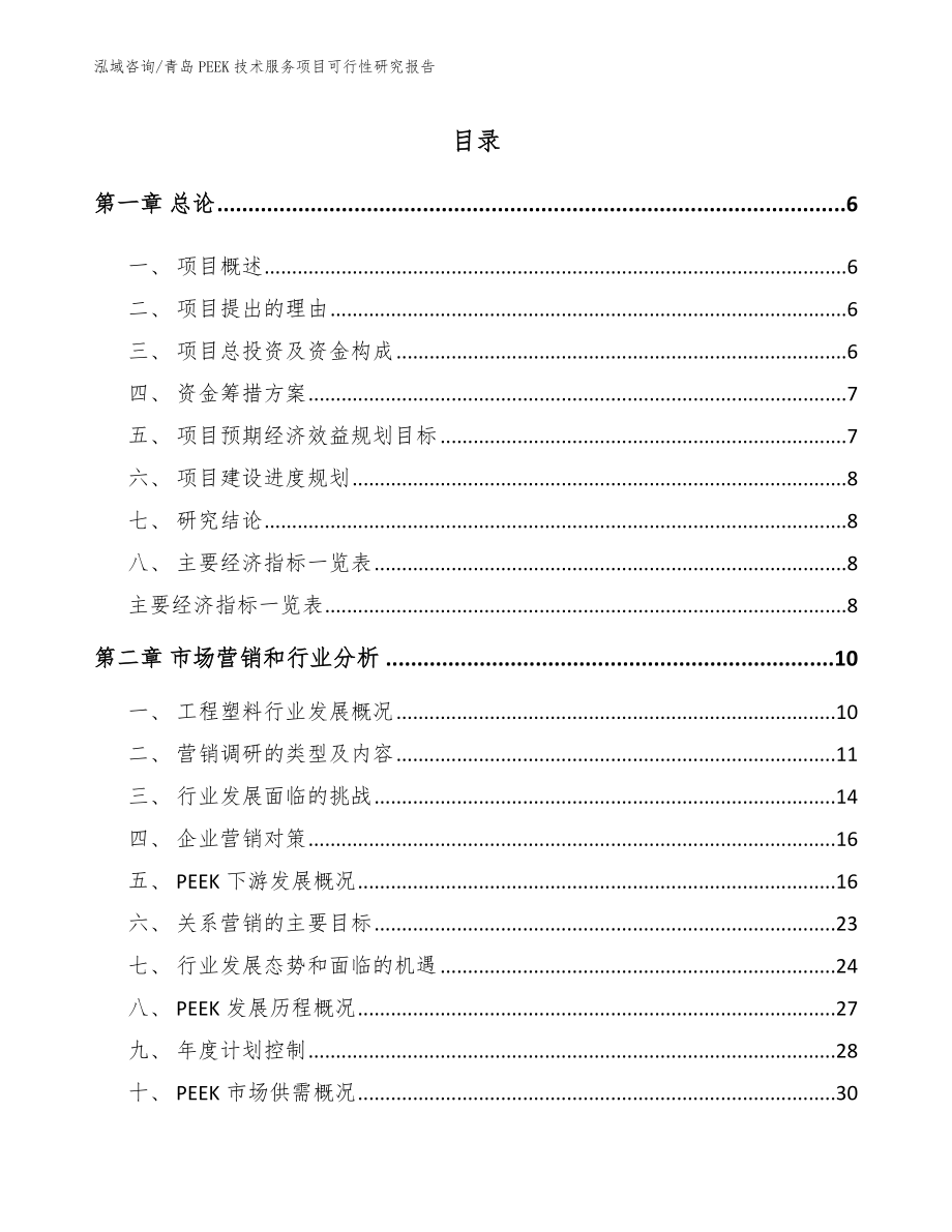 青岛PEEK技术服务项目可行性研究报告【模板范文】_第1页