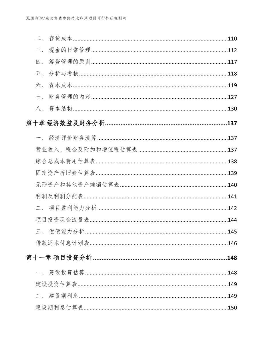 东营集成电路技术应用项目可行性研究报告_第5页