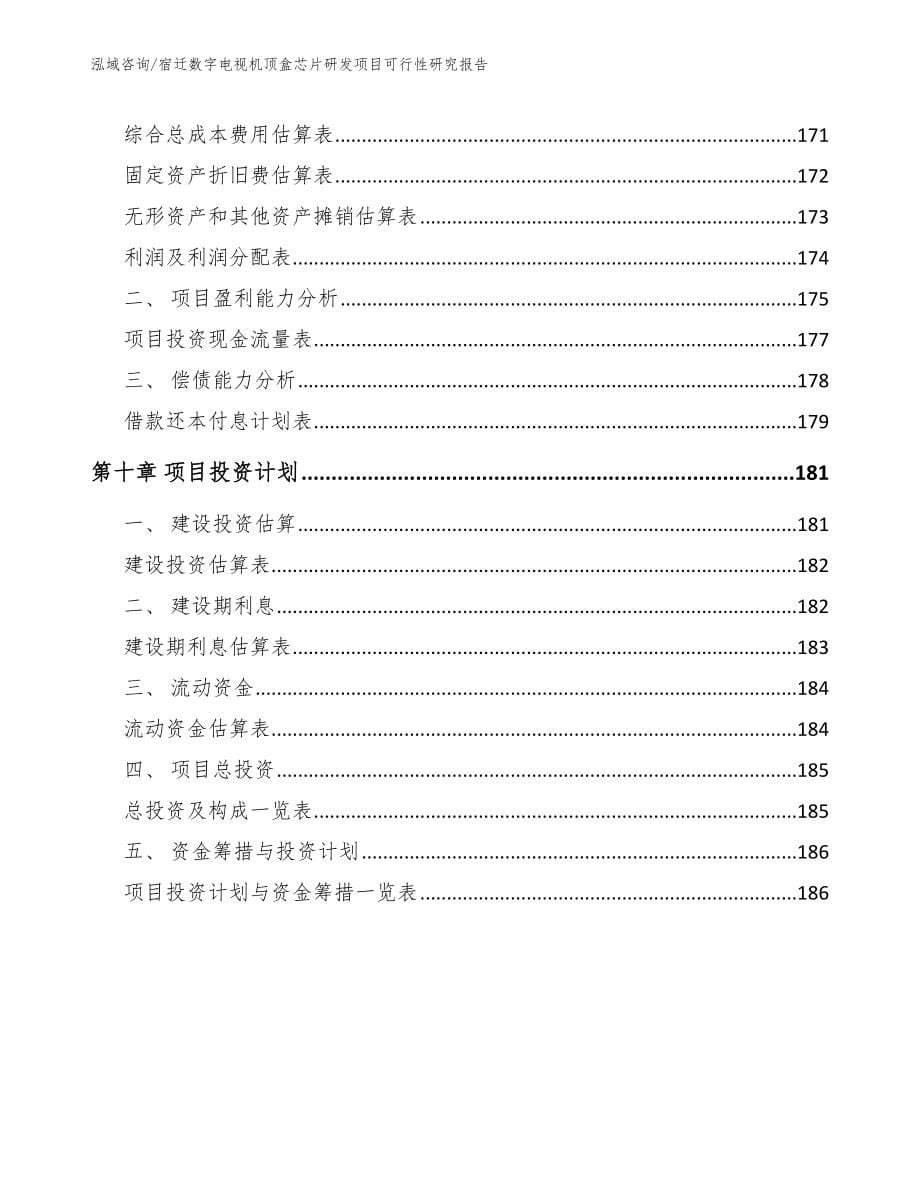 宿迁数字电视机顶盒芯片研发项目可行性研究报告_第5页