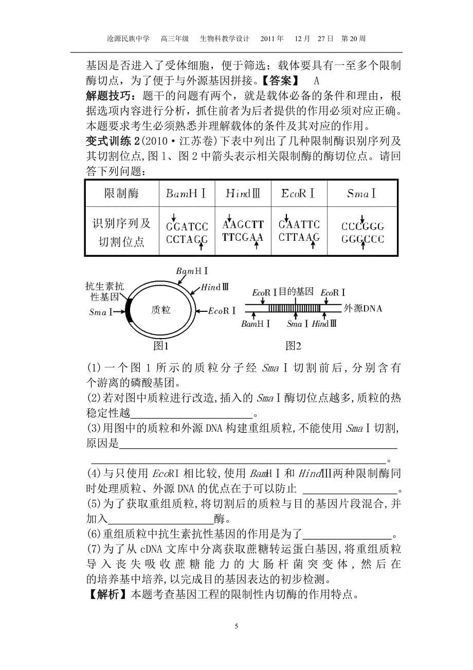 基因工程教学设计.doc_第5页