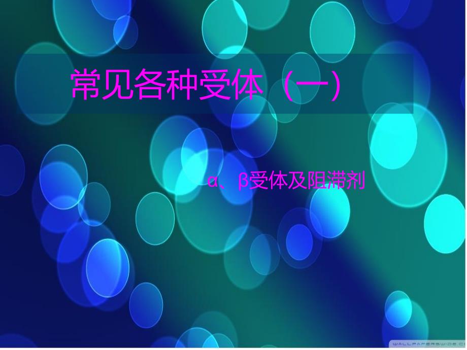 α、β受体解读.ppt_第1页