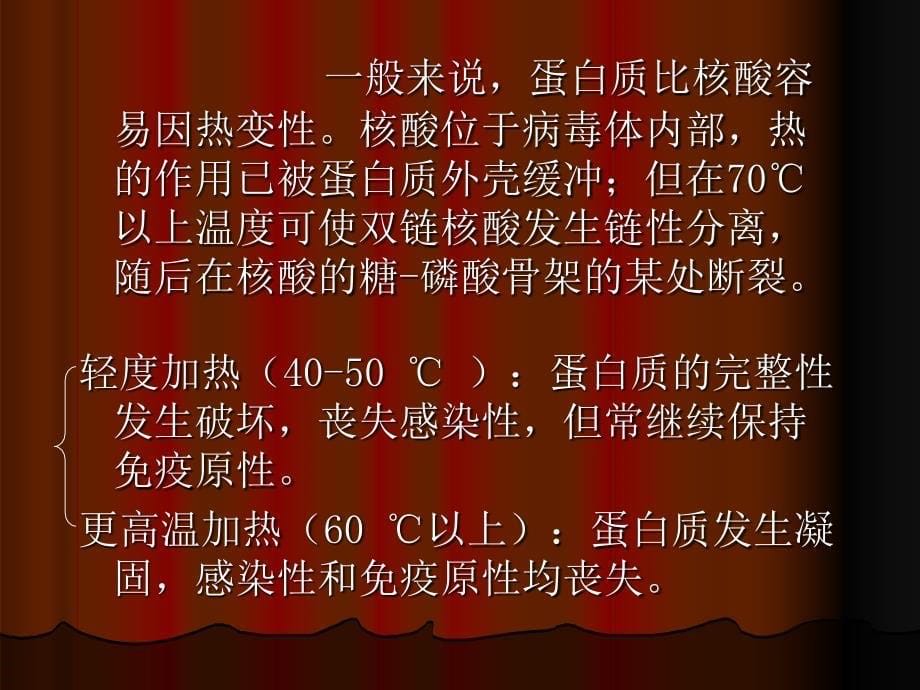 病毒学第四五章课件_第5页