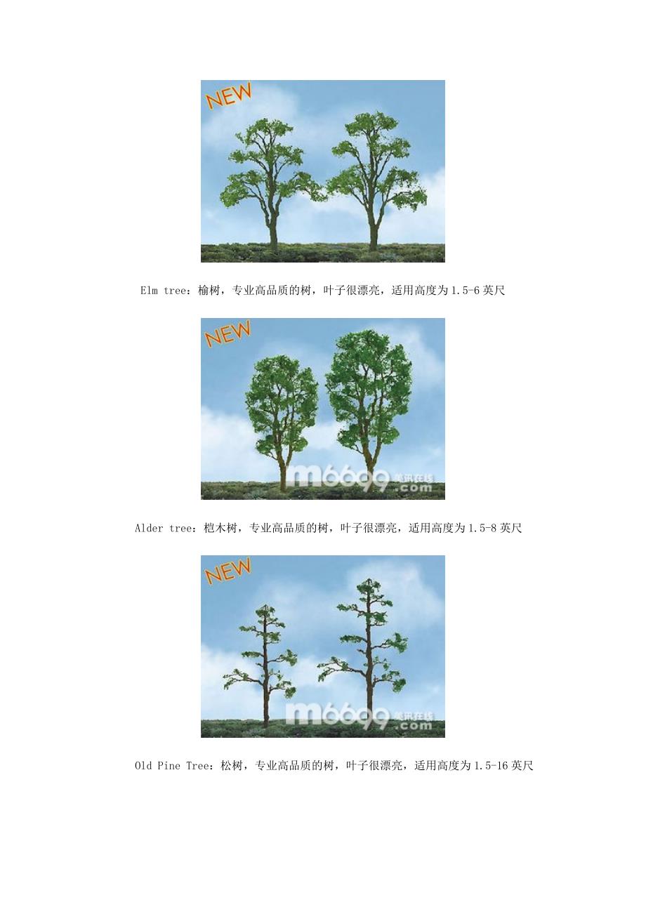 乔木的配置运用.doc_第3页