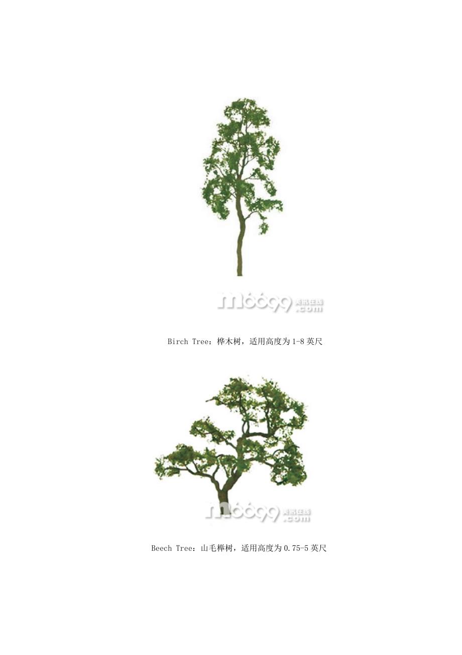 乔木的配置运用.doc_第4页