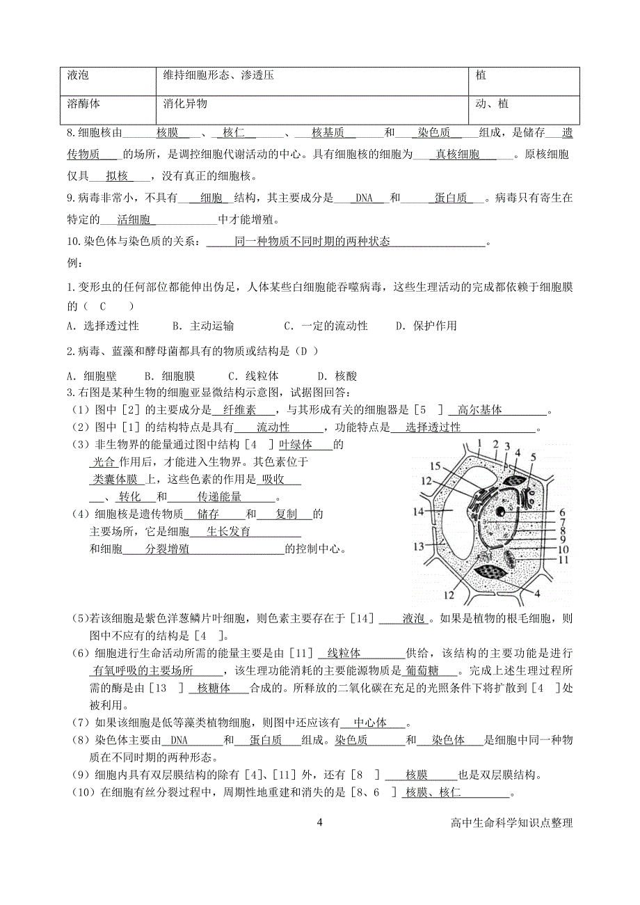 生物-高中生命科学资料-侧重记忆-28页_第4页