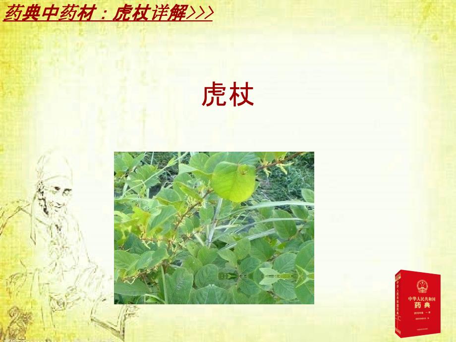 中成药配方详解：维血宁颗粒_第4页