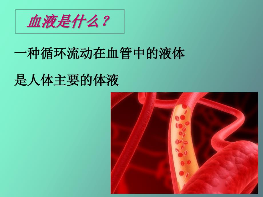 血液与发生-给学生_第3页