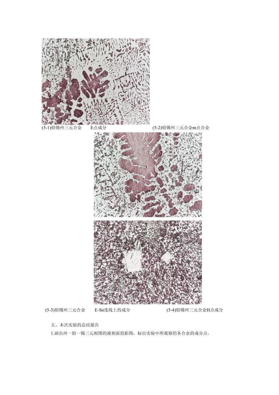 试验五三元合金的显微组织_第5页