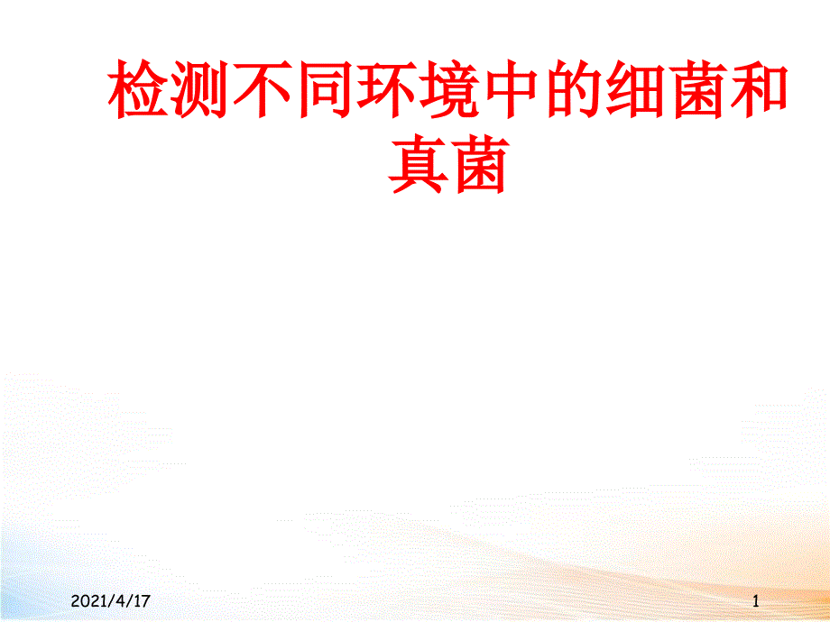 检测不同环境中的细菌和真菌精品课件_第1页