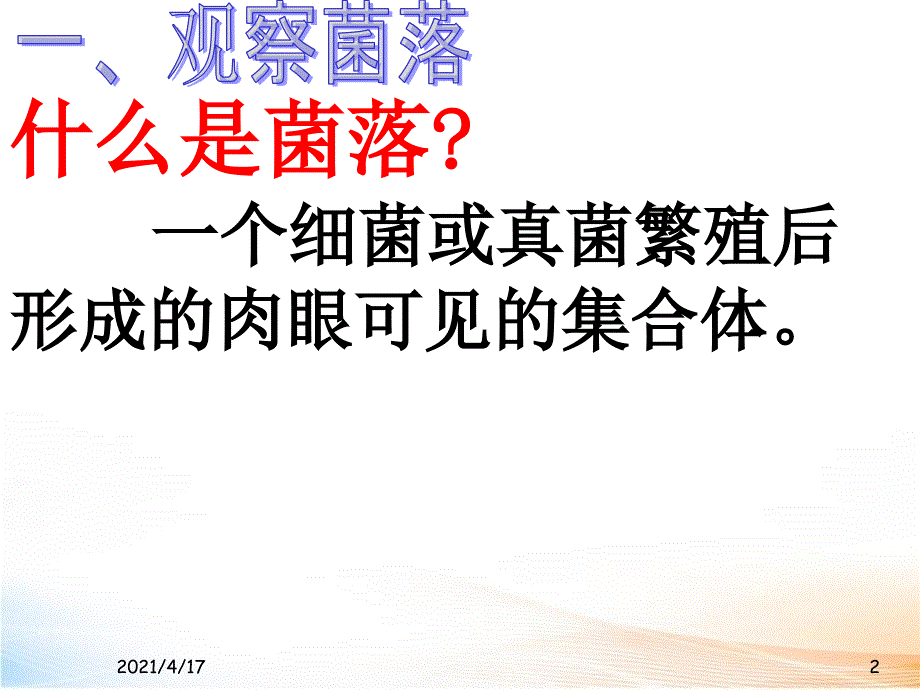 检测不同环境中的细菌和真菌精品课件_第2页