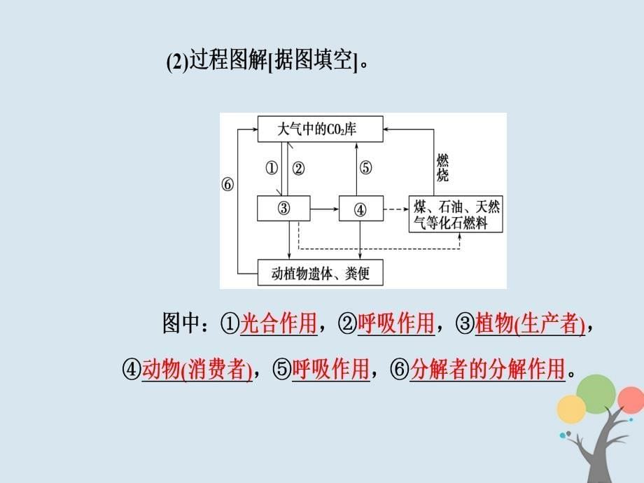 高中生物第五章生态系统及其稳定性第3节生态系统的物质循环课件新人教版必修3_第5页