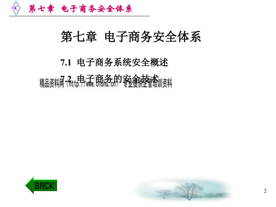 电子商务系统安全与安全技术PPT课件_第2页